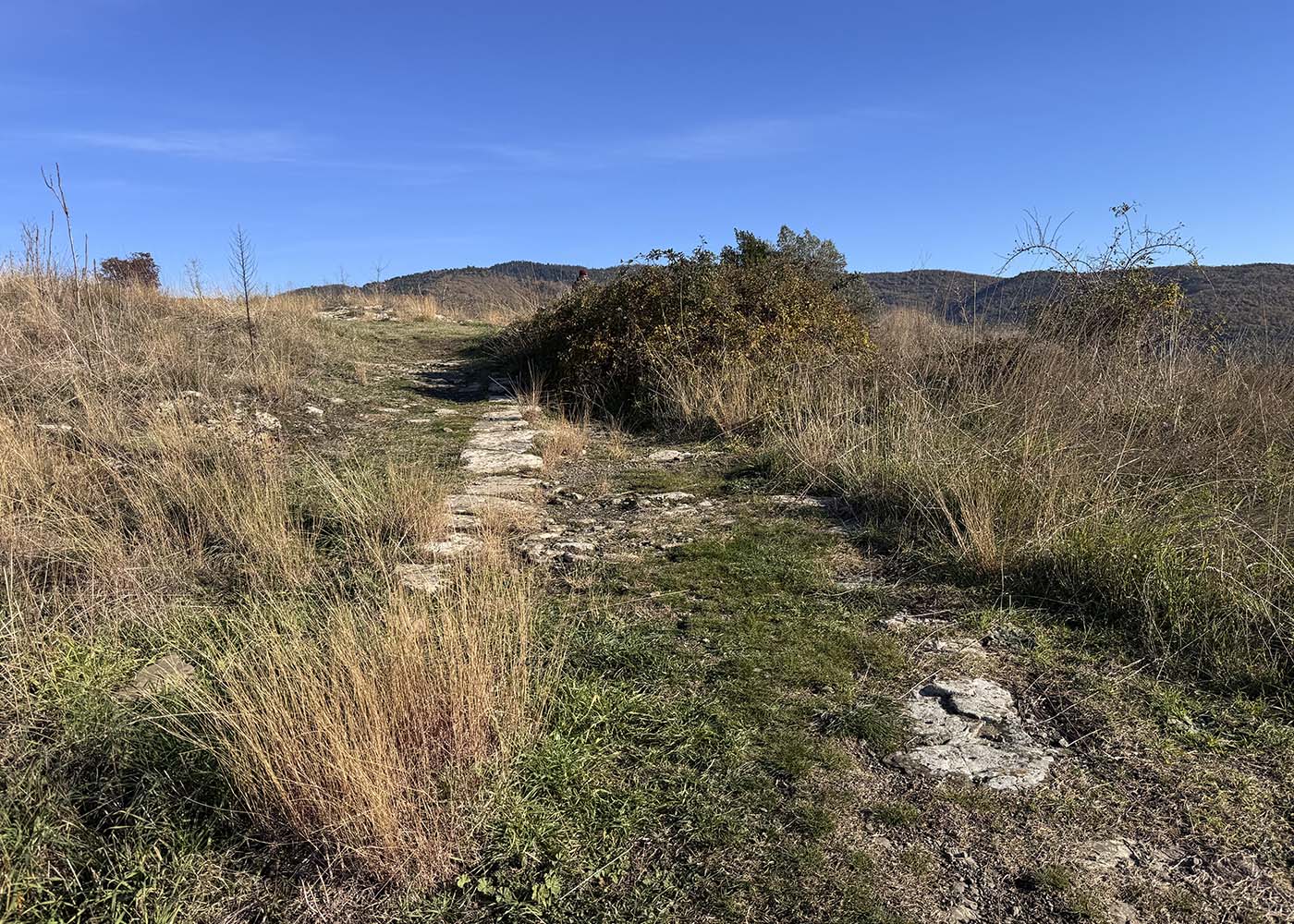 ITIN_1Irineraio 1-5