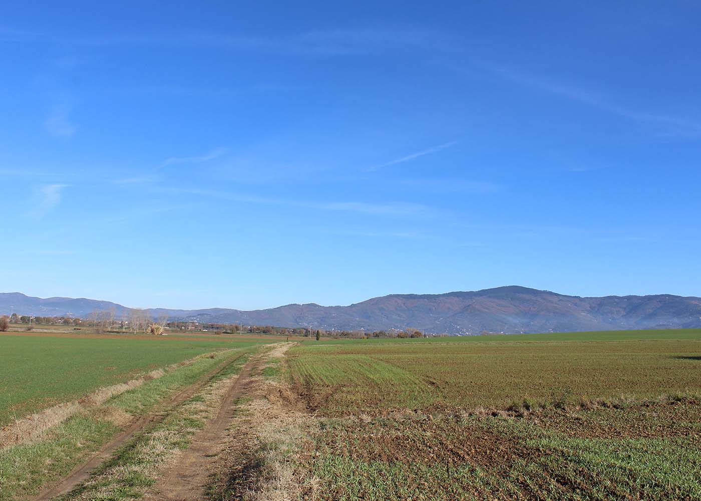 in-bici-valdichiana4