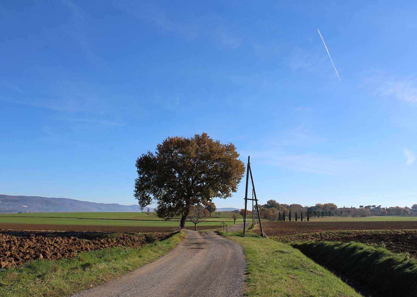 in-bici-valdichiana5